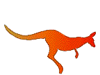 kangaroo Animated Gif