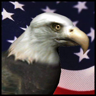 american-eagle-animated-gameznet-01.gif