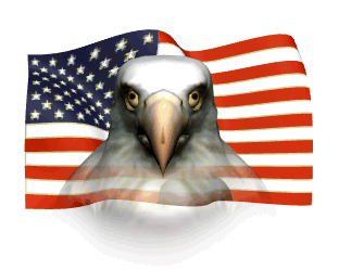 american-eagle-animated-gameznet-02.gif
