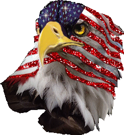 american-eagle-animated-gameznet-03.gif