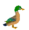 bird-animated-gameznet-0109.gif