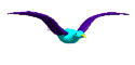 bird-animated-gameznet-0112.gif
