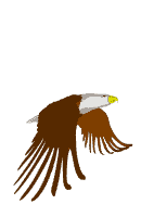 bird-animated-gameznet-0113.gif
