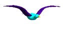 bird-animated-gameznet-0121.gif