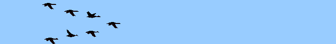 bird-animated-gameznet-0123.gif