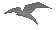 bird-animated-gameznet-0125.gif