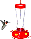 bird-animated-gameznet-0132.gif