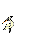 bird-animated-gameznet-0139.gif