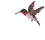bird-animated-gameznet-0141.gif