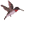 bird-animated-gameznet-0142.gif
