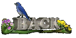 bird-animated-gameznet-0143.gif