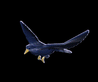 bird-animated-gameznet-0144.gif