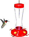 bird-animated-gameznet-0146.gif