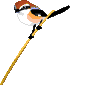 bird-animated-gameznet-030.gif