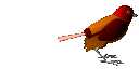 bird-animated-gameznet-031.gif