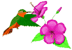 bird-animated-gameznet-034.gif