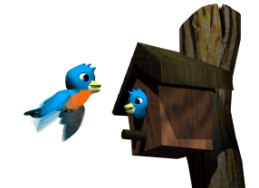 bird-animated-gameznet-047.gif