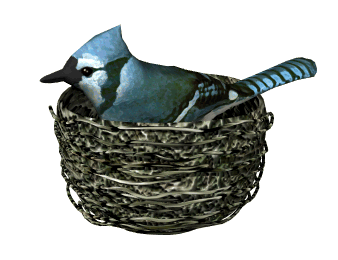 bird-animated-gameznet-048.gif