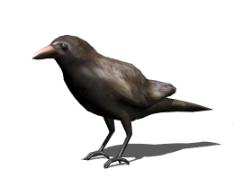 bird-animated-gameznet-053.gif