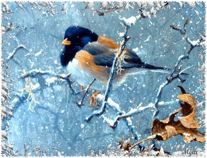bird-animated-gameznet-054.gif