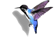 bird-animated-gameznet-060.gif