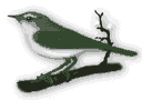 bird-animated-gameznet-061.gif