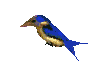 bird-animated-gameznet-062.gif