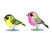 bird-animated-gameznet-063.gif