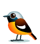 bird-animated-gameznet-064.gif