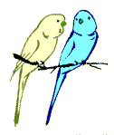 bird-animated-gameznet-065.gif