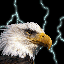 bird-animated-gameznet-081.gif