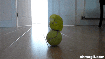 budgie-bird-animated-gameznet-05.gif