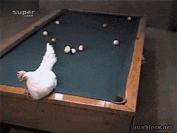 chicken-animated-gameznet-013.gif