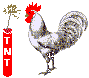 chicken-animated-gameznet-021.gif