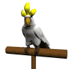 cockatoo-animated-gameznet-03.gif