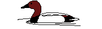 duck-animated-gameznet-04.gif