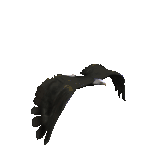 eagle-animated-gameznet-011.gif