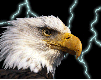 eagle-animated-gameznet-013.gif