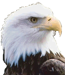 eagle-animated-gameznet-014.gif