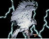 eagle-animated-gameznet-015.gif