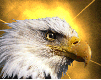 eagle-animated-gameznet-017.gif