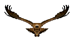 eagle-animated-gameznet-022.gif