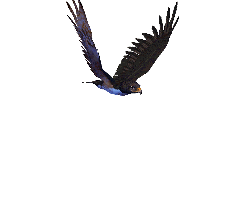 eagle-animated-gameznet-023.gif