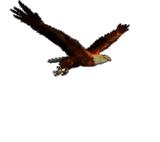 eagle-animated-gameznet-026.gif