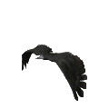 eagle-animated-gameznet-09.gif