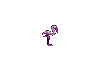 flamingo-rooster-bird-animated-gameznet-02.gif