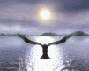 flying-bird-animated-gameznet-01.gif