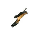 flying-bird-animated-gameznet-02.gif