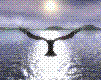 flying-bird-animated-gameznet-03.gif