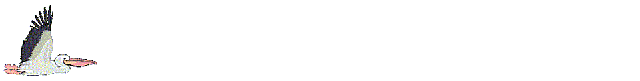 flying-bird-animated-gameznet-06.gif